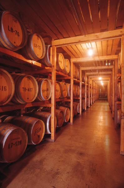 wine barrels in racks