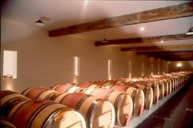 wine barrels at Chateau Canon